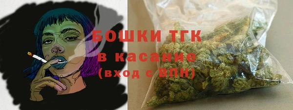 тгк Алексин
