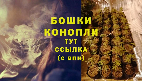 индика Нефтегорск