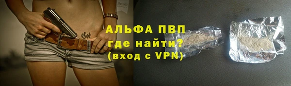 индика Нефтегорск
