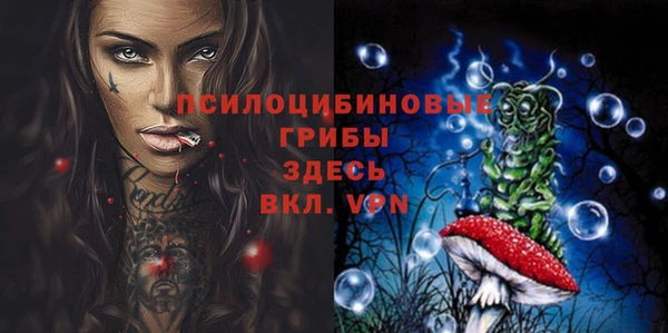тгк Алексин