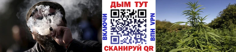 ОМГ ОМГ зеркало  где купить наркоту  Абинск  мориарти Telegram  Шишки марихуана конопля 